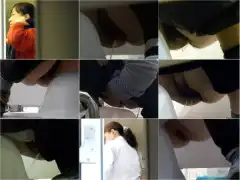 15272622