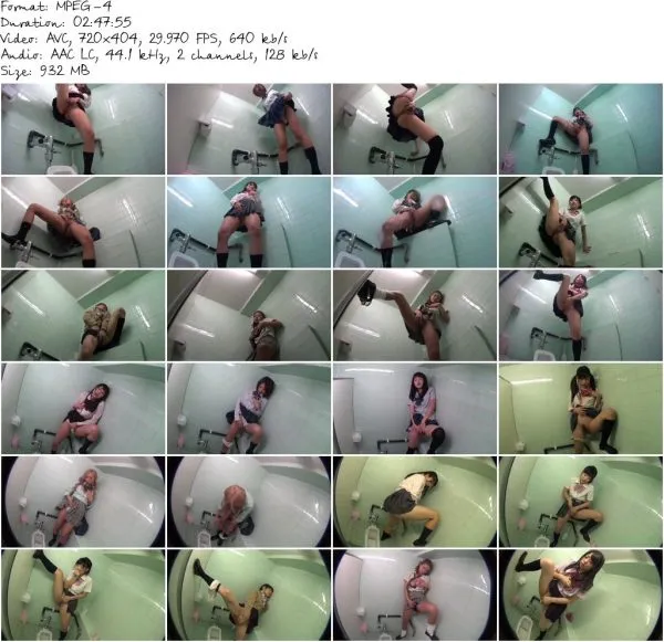 CAT 343.mp4 581