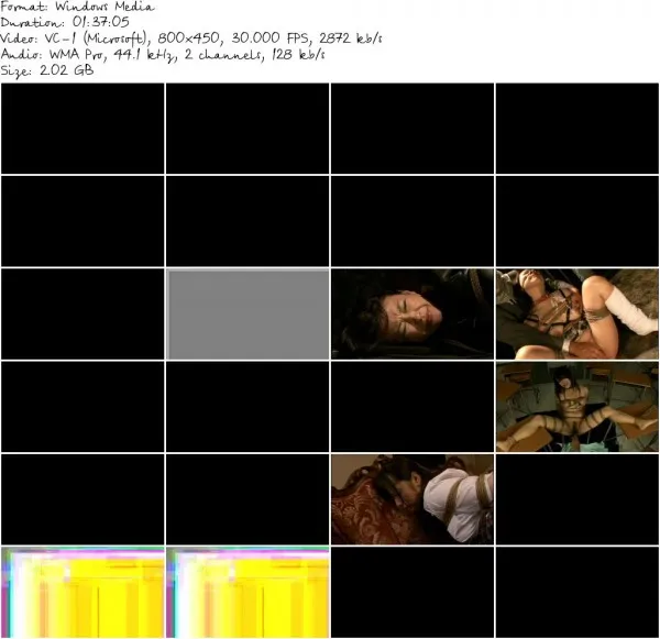 CMV 045a.wmv 581