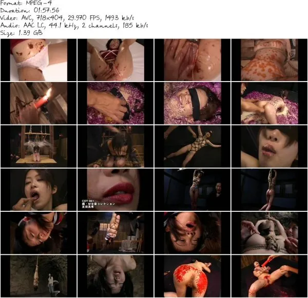 DDT 459.mp4 581