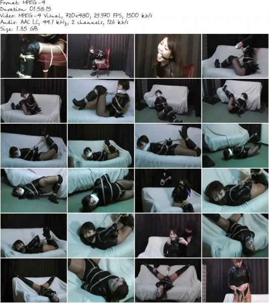 DHER 016.mp4 533