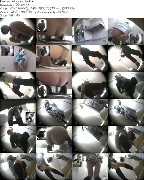 DPSS 01c.wmv 480