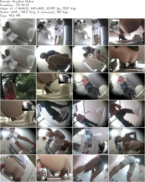 DPSS 01d.wmv 480