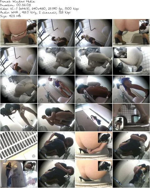 DPSS 01e.wmv 480