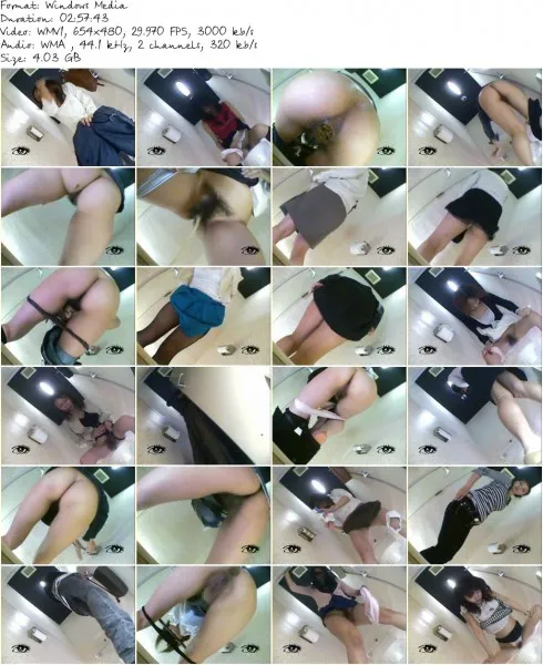 DTU 04.wmv 490