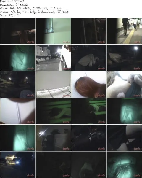 DYO 04.MP4 480