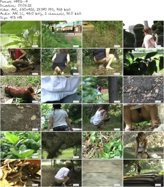 F15 01.MP4 527