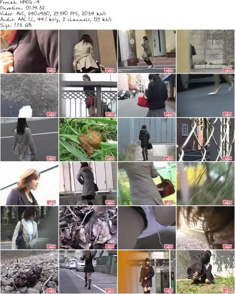 F15 05.mp4 480