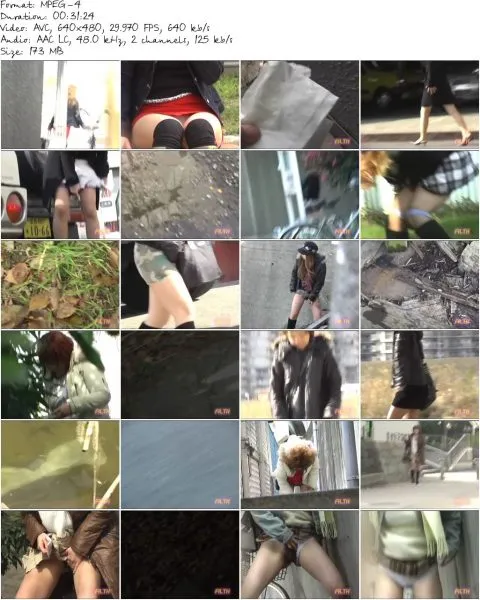 F15 12M.MP4 480