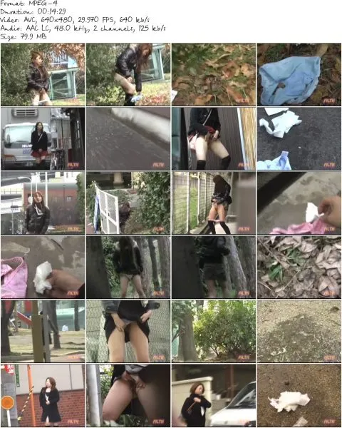 F15 12 3.MP4 480