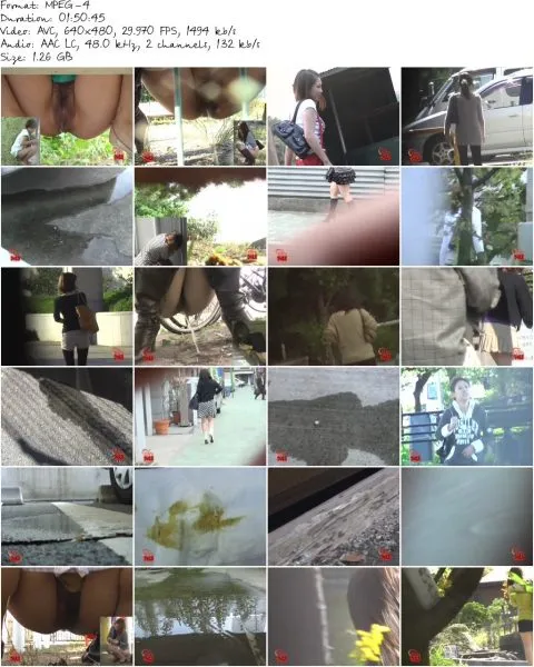 F62 02.mp4 480