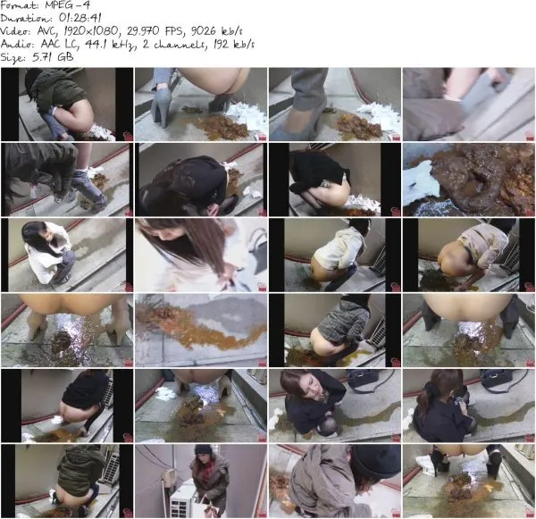 FF 265 02.mp4 581