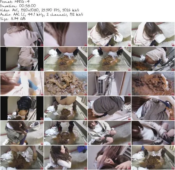 FF 265 03.mp4 581