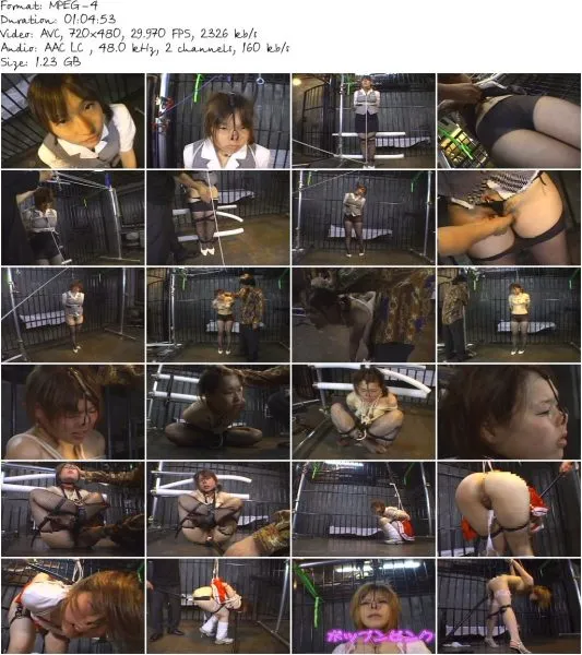 HNF 001.mp4 533