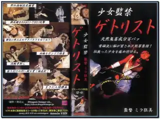 [JHS-01] Dragon Image Bondage
