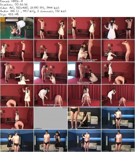 MLDE 004 3 533