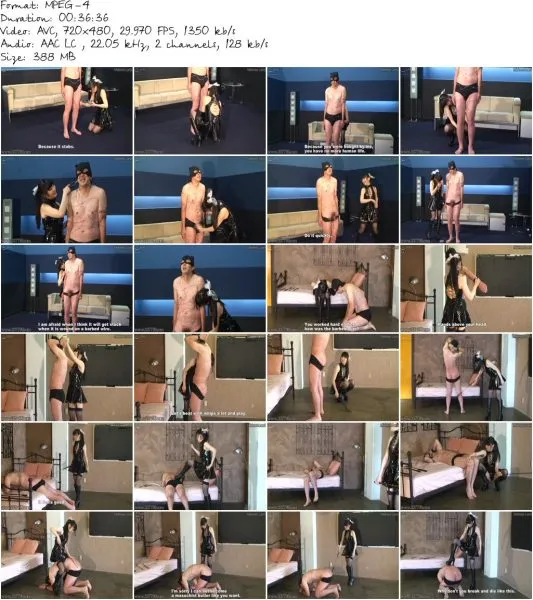 MLDE 004 4 533