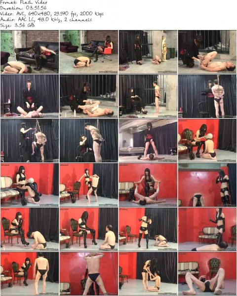 MLDO 064 480
