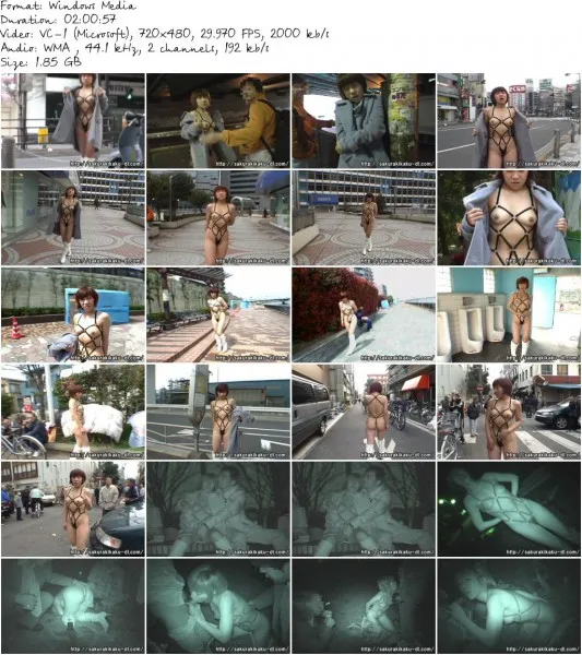 MPD 032.wmv 533