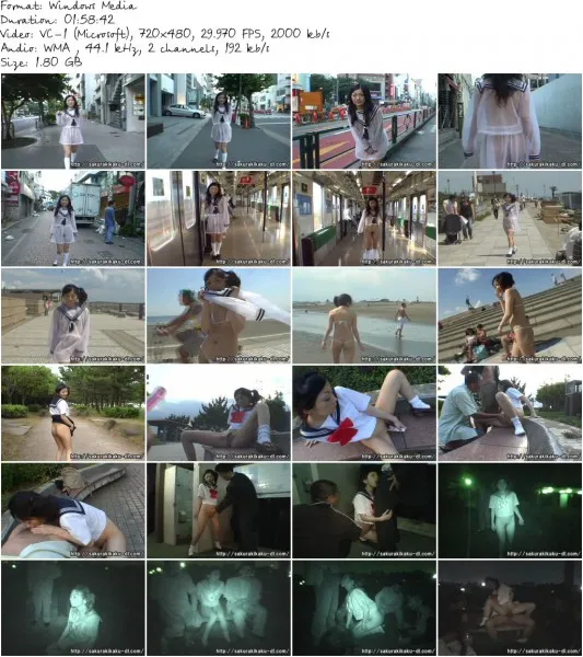 MPD 033.wmv 533