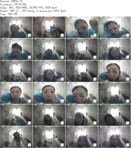PGOD 002 04 533