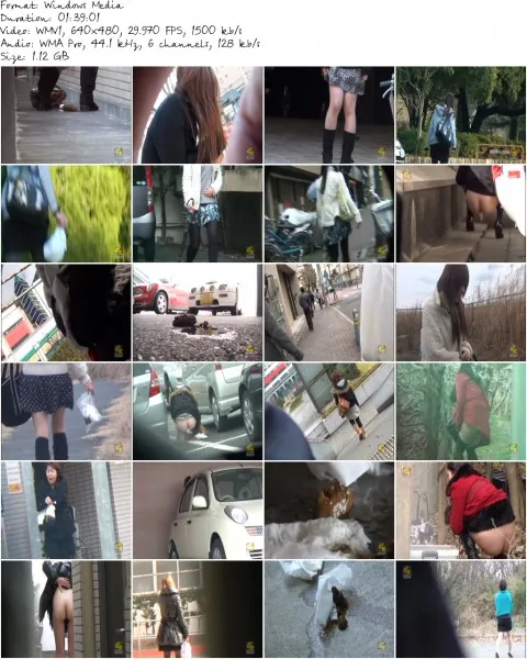 PM 093.wmv 480