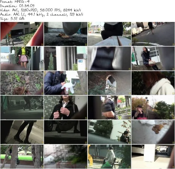 PM 115.mp4 581
