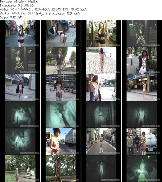 RC 007.wmv 533