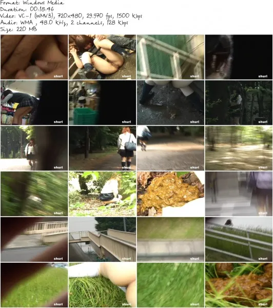 S33 01b.wmv 532