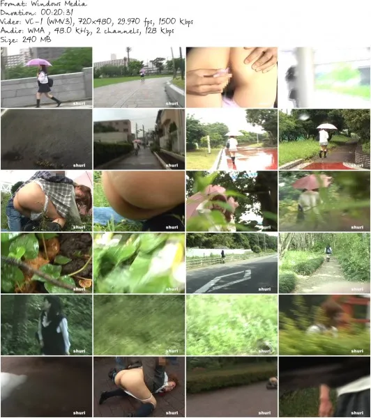 S33 01c.wmv 532