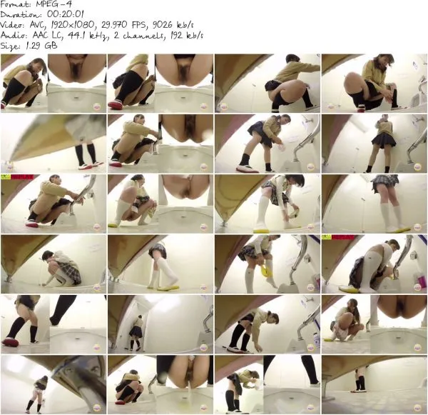 SL 036 3.mp4 581
