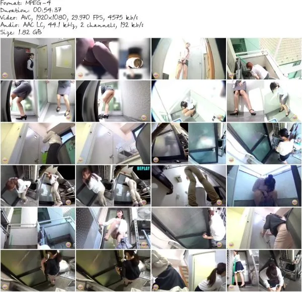 SL 247 3.MP4 581