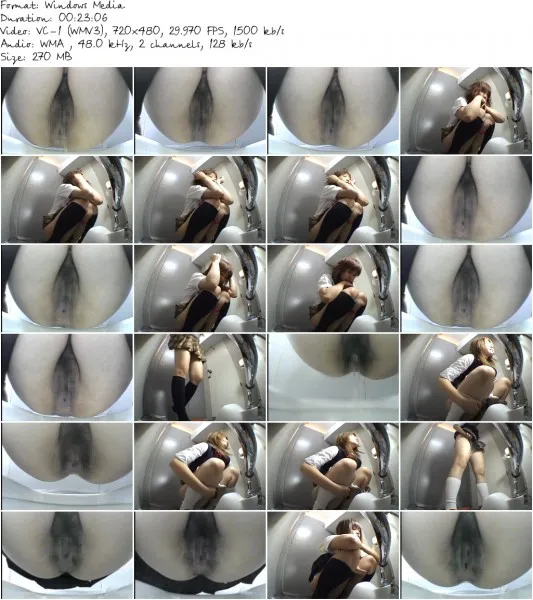 SPD 001a.wmv 533