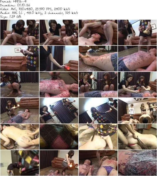 VER 004.mp4 533