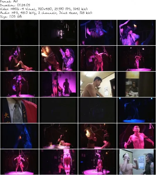ZCP 007.avi 532