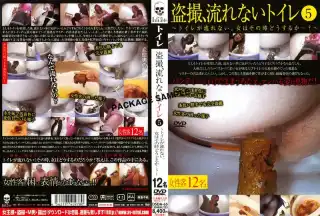 [DSDA-65] 盗撮、流れないトイレ 5 Post Scat 投稿 2009/11/15
