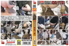 image FF 265