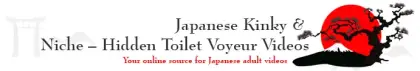 Japanese Kinky & Niche – Hidden Toilet Voyeur Videos