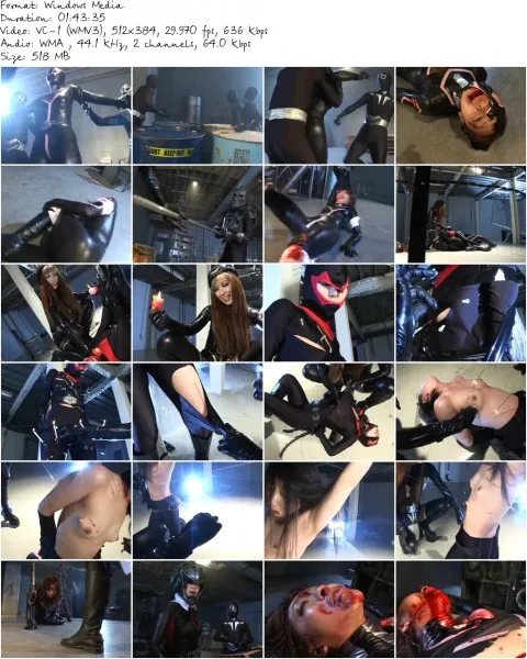 JDSD 02.wmv 480