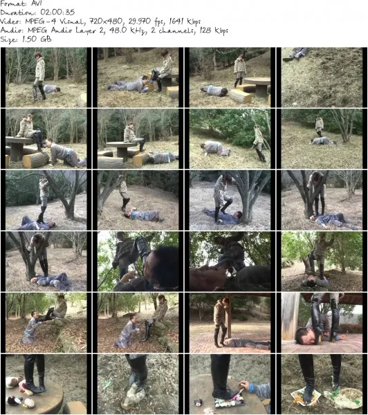 JO 11.avi 532