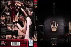 image DASD 326