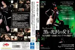 image QRDD 009