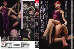 image TPLS 013