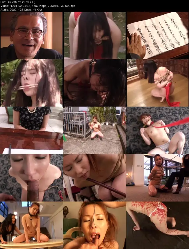 DD 219 1
