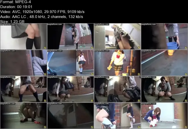 PM196 3.mp4. thumb