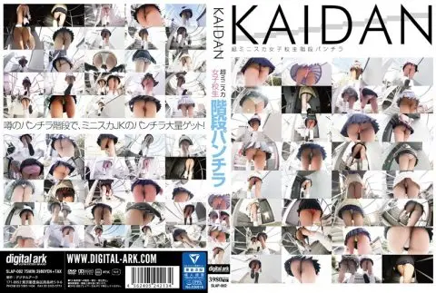 SLAP-002 KAIDAN 超ミニスカ女子校生階段パンチラ Digital Ark（デジタルアーク）  2016-07-25