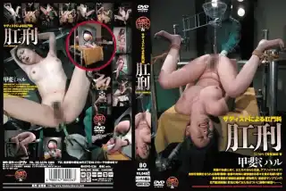 ADVO-026 肛刑 甲斐ミハル アートビデオSM  2012-07-13