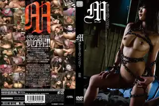VGD-093 M 迷える子犬のアンソロジー 沙耶