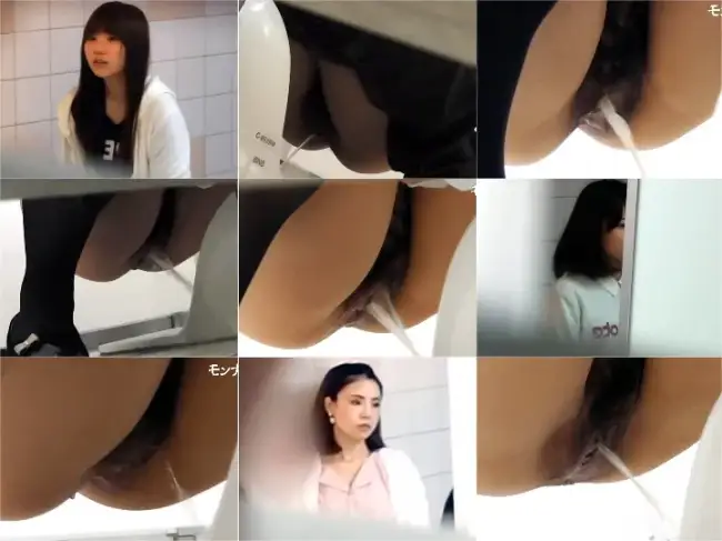 Girls on the Toilet Reiwajapanwc010 こんな清楚なオマンコは淑女の�… Spy Camera
