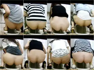 Toilet Voyeur（令和２年新作特選汲み取り便所便槽内立て